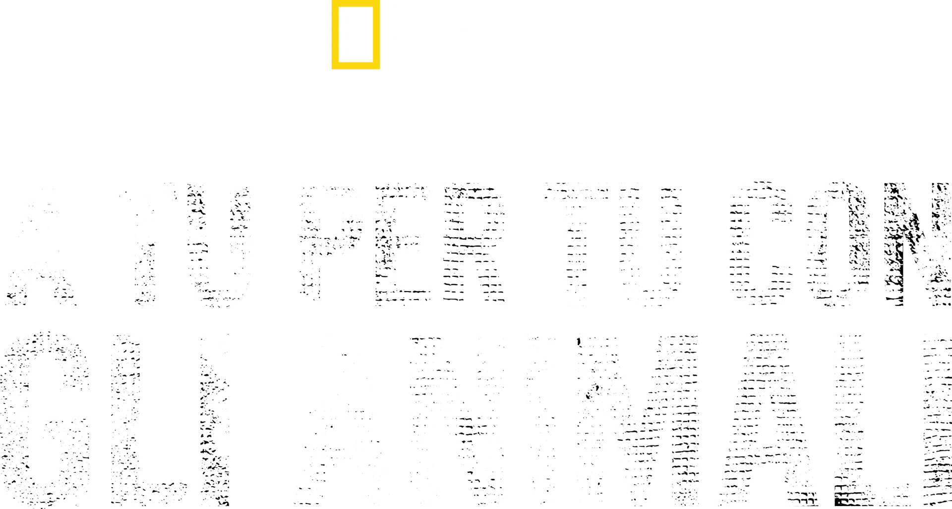 Bertie Gregory: a tu per tu con gli animali