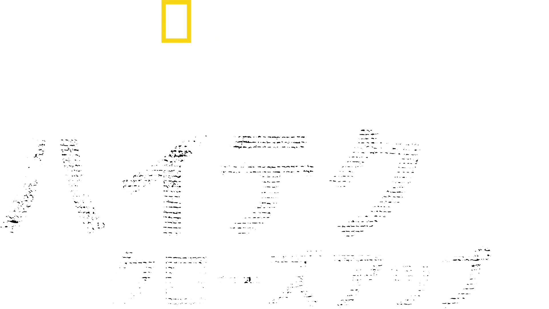 バーティのハイテク・クローズアップ