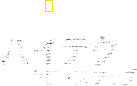 バーティのハイテク・クローズアップ