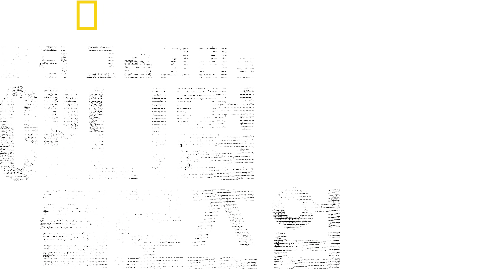 버티 그레고리의 애니멀 클로즈 업