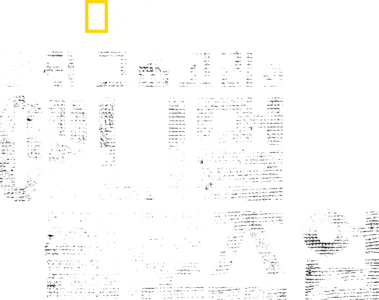 버티 그레고리의 애니멀 클로즈 업