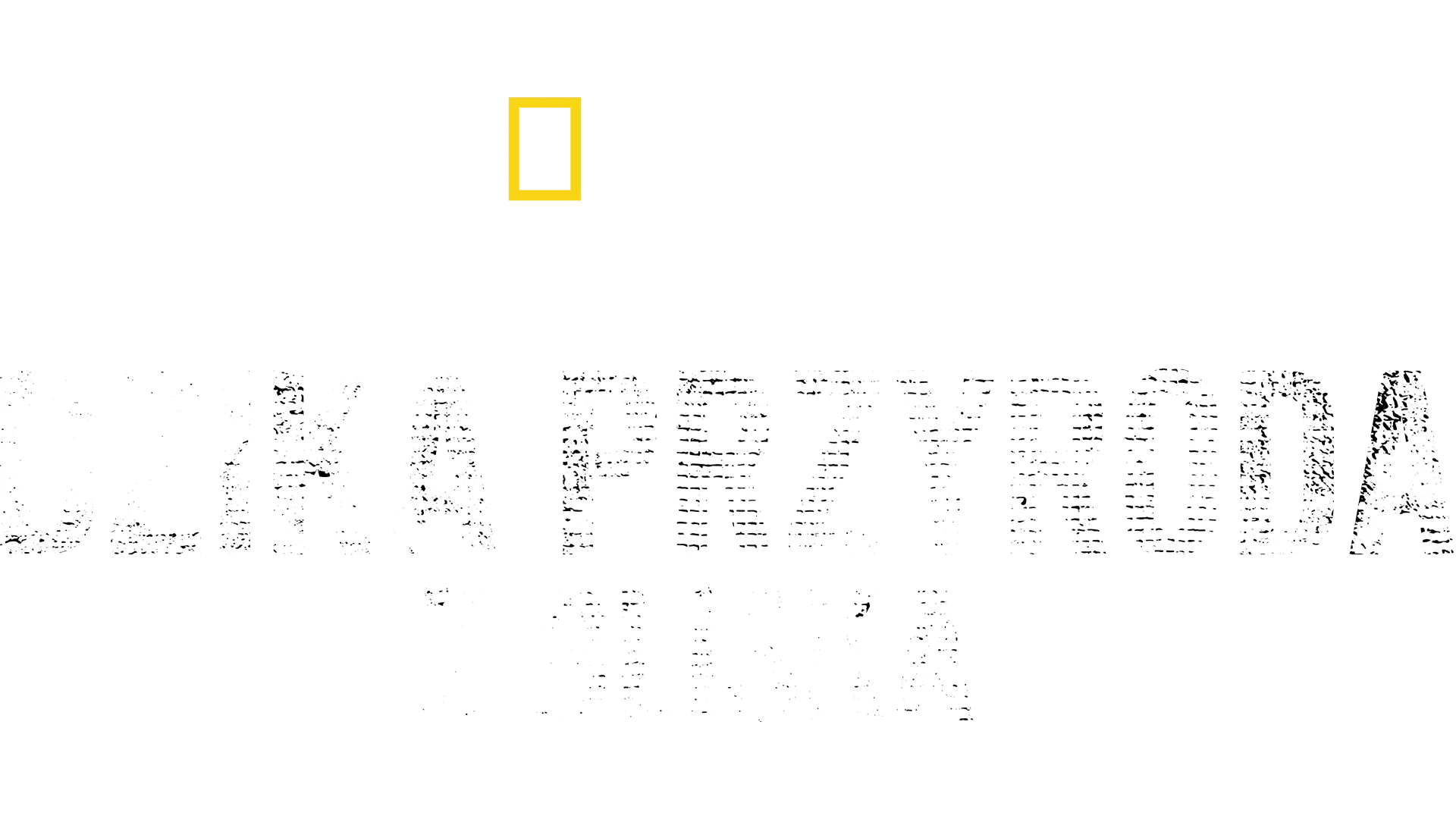 Bertie Gregory: Dzika przyroda z bliska
