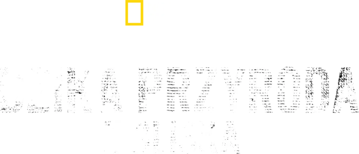Bertie Gregory: Dzika przyroda z bliska