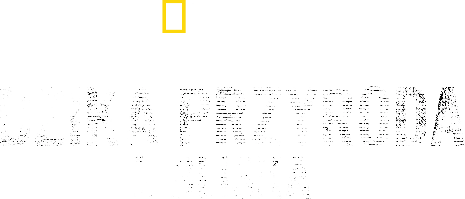 Bertie Gregory: Dzika przyroda z bliska