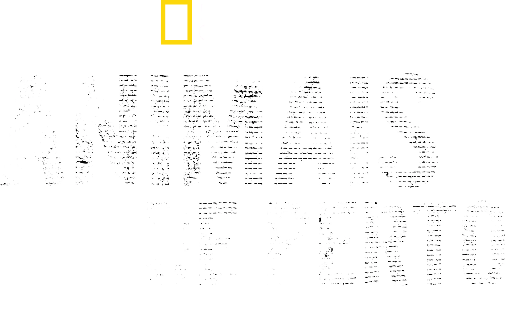 Animais de Perto com Bertie Gregory
