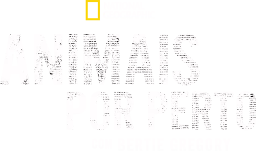 Animais Por Perto com Bertie Gregory