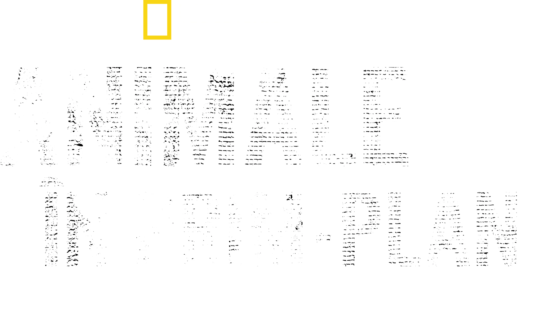 Animale în prim-plan cu Bertie Gregory