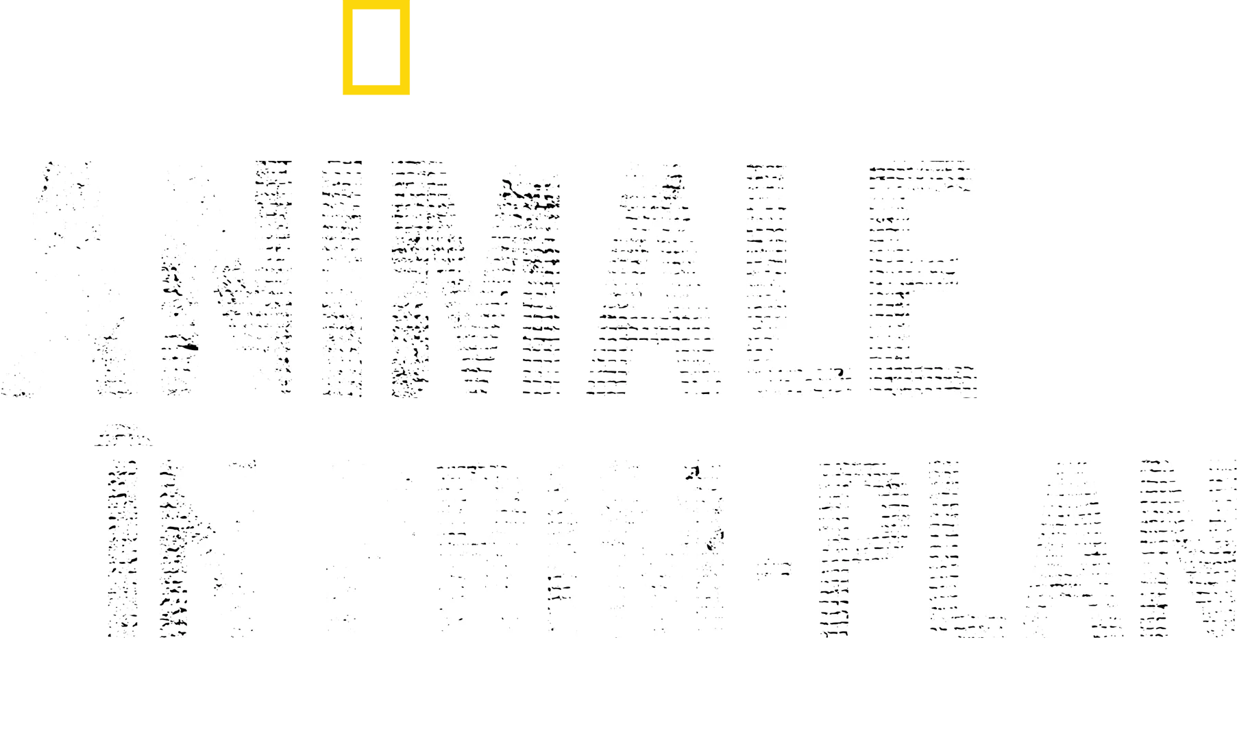 Animale în prim-plan cu Bertie Gregory