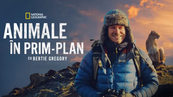 thumbnail - Animale în prim-plan cu Bertie Gregory
