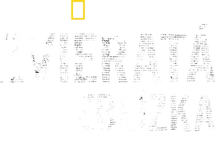 Zvieratá zblízka s Bertiem Gregorym