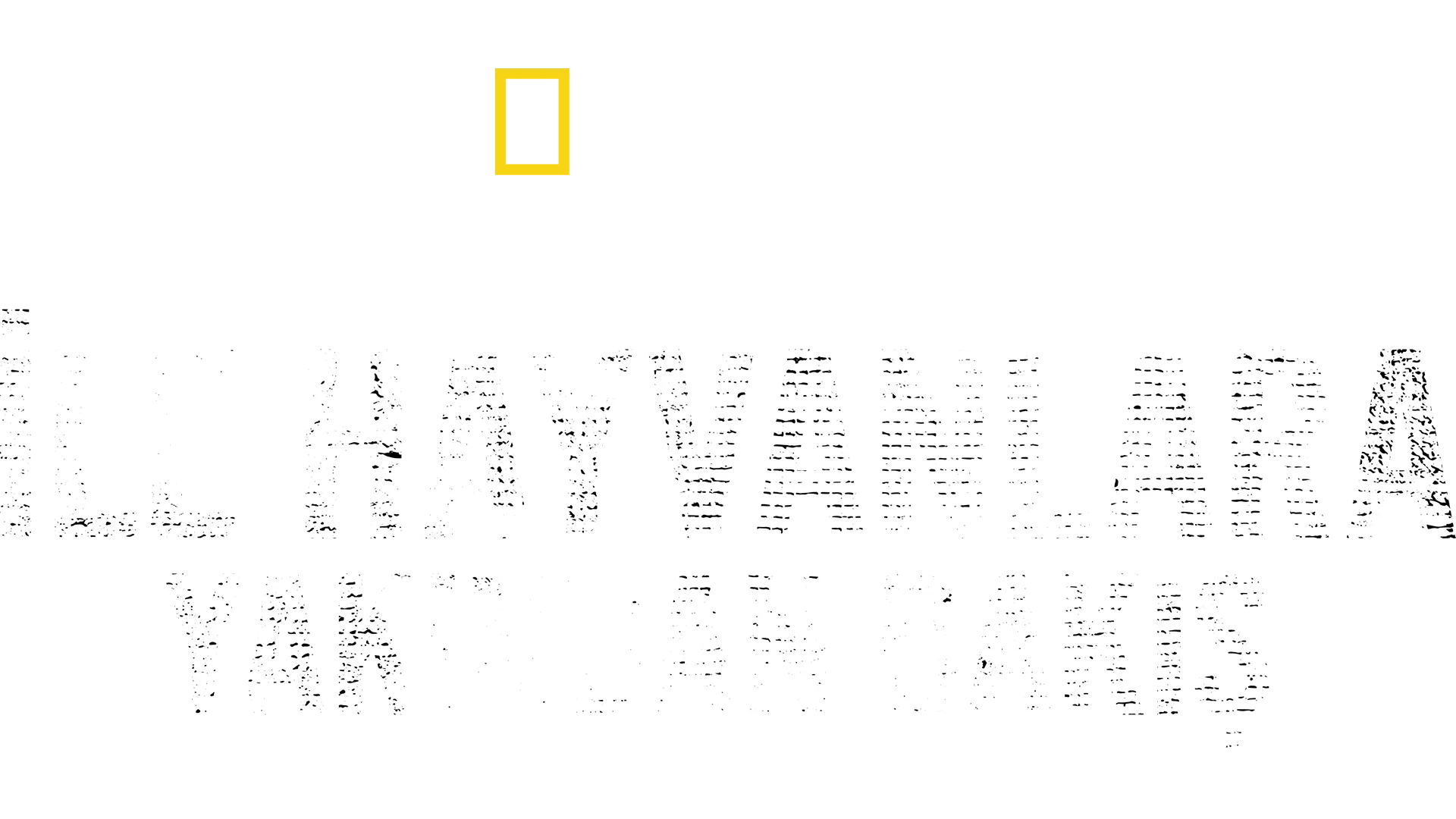 Bertie Gregory ile Hayvanlara Yakından Bakış