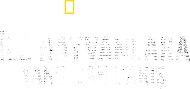 Bertie Gregory ile Hayvanlara Yakından Bakış