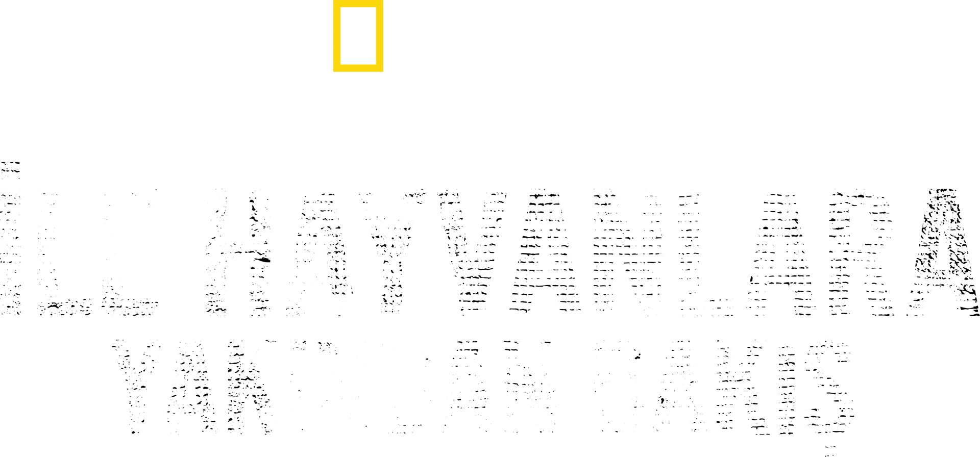 Bertie Gregory ile Hayvanlara Yakından Bakış