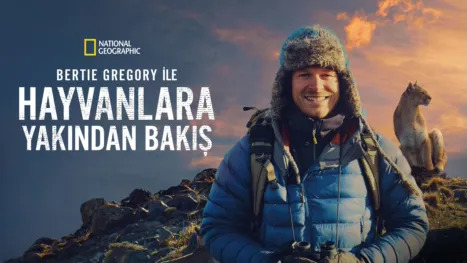 thumbnail - Bertie Gregory ile Hayvanlara Yakından Bakış