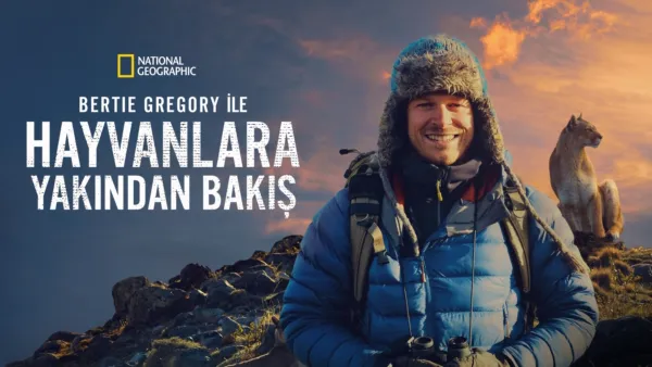 thumbnail - Bertie Gregory ile Hayvanlara Yakından Bakış