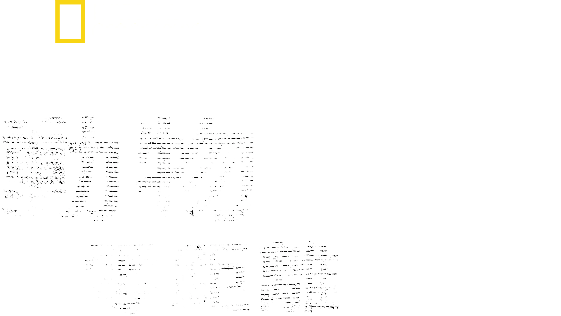 攝影師伯蒂與動物零距離