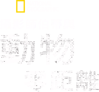 攝影師伯蒂與動物零距離