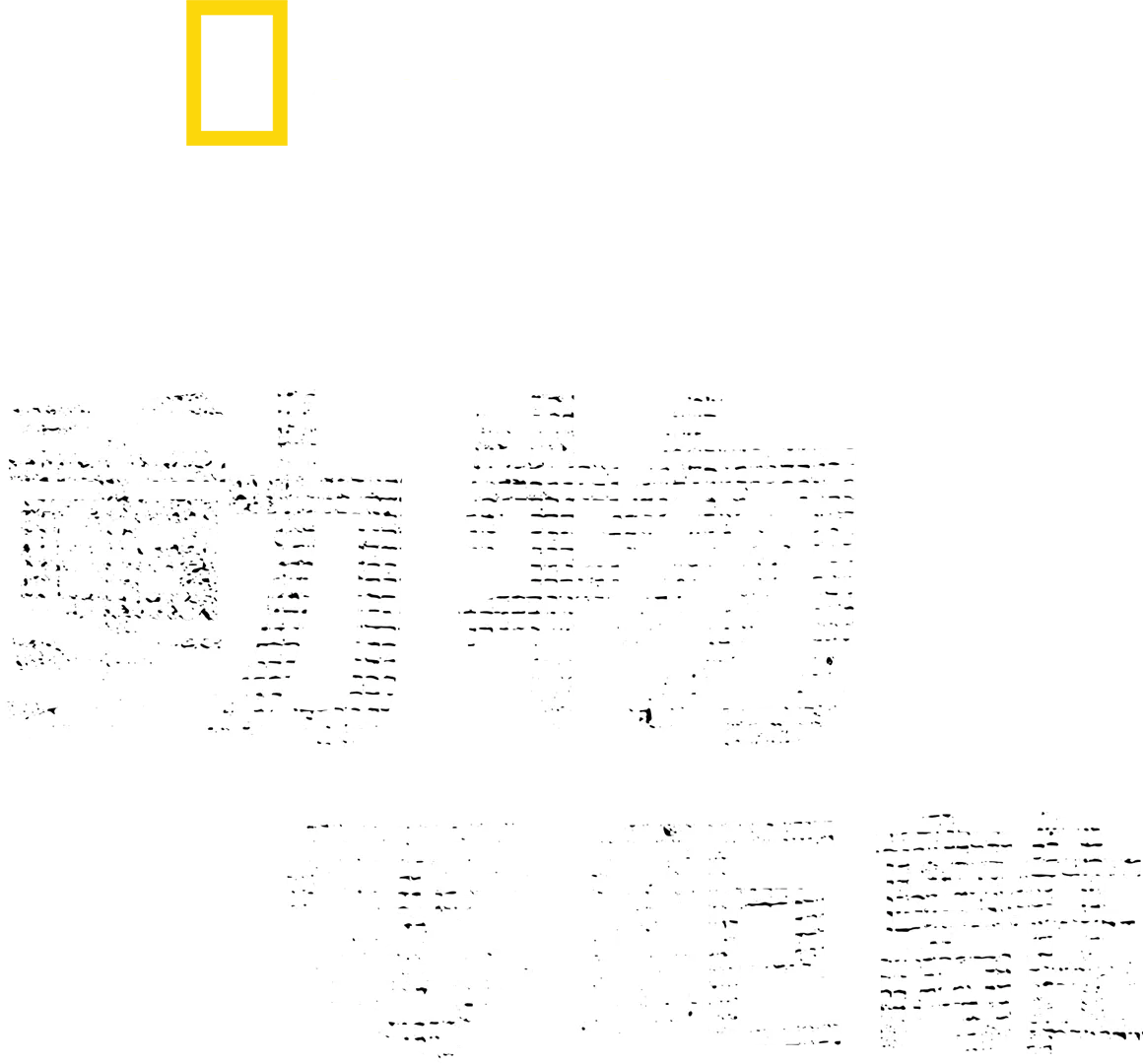 攝影師伯蒂與動物零距離