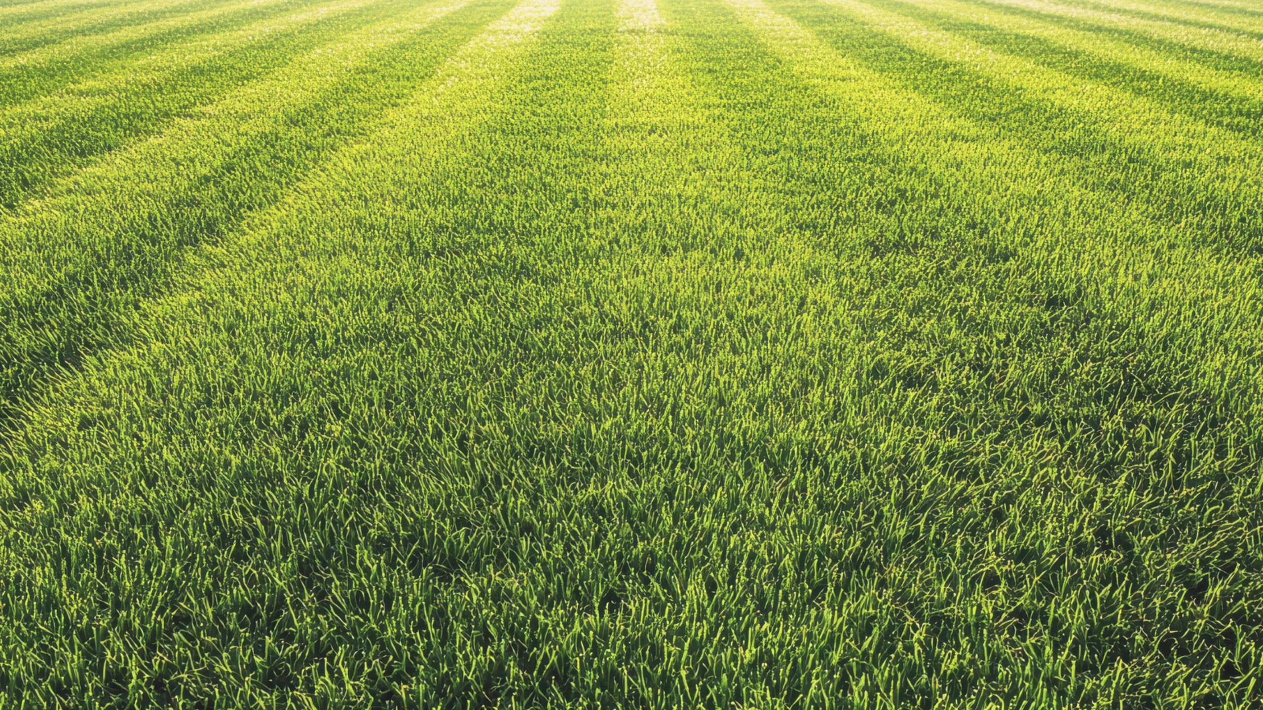 Ao Vivo | Gols Pelo Mundo (Xsports)