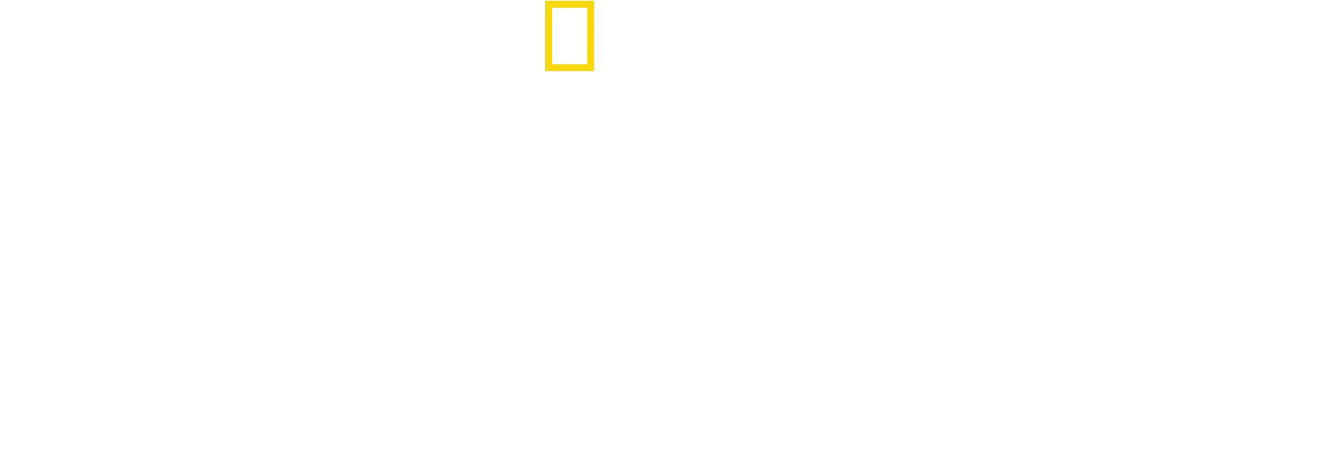 Guillermo Pérez Roldán Confidential