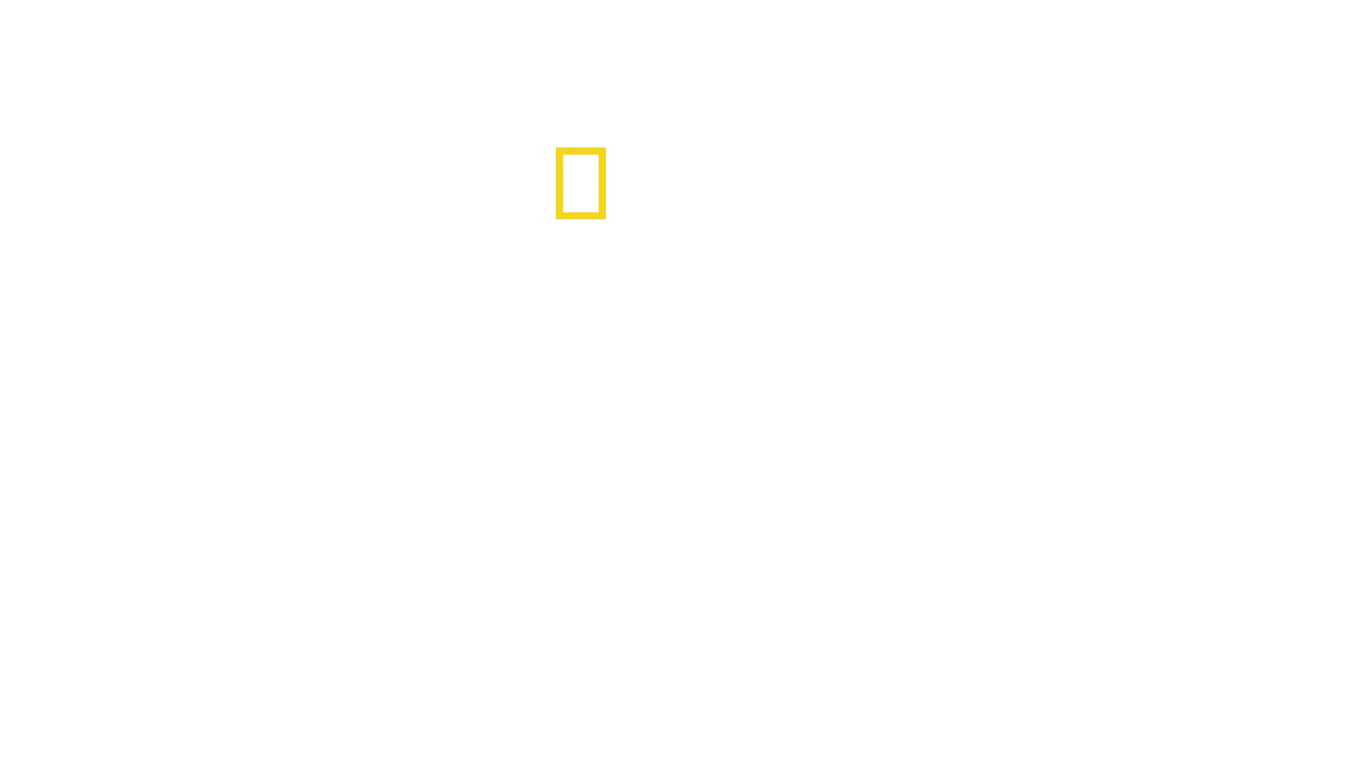 Guillermo Pérez Roldán Confidencial