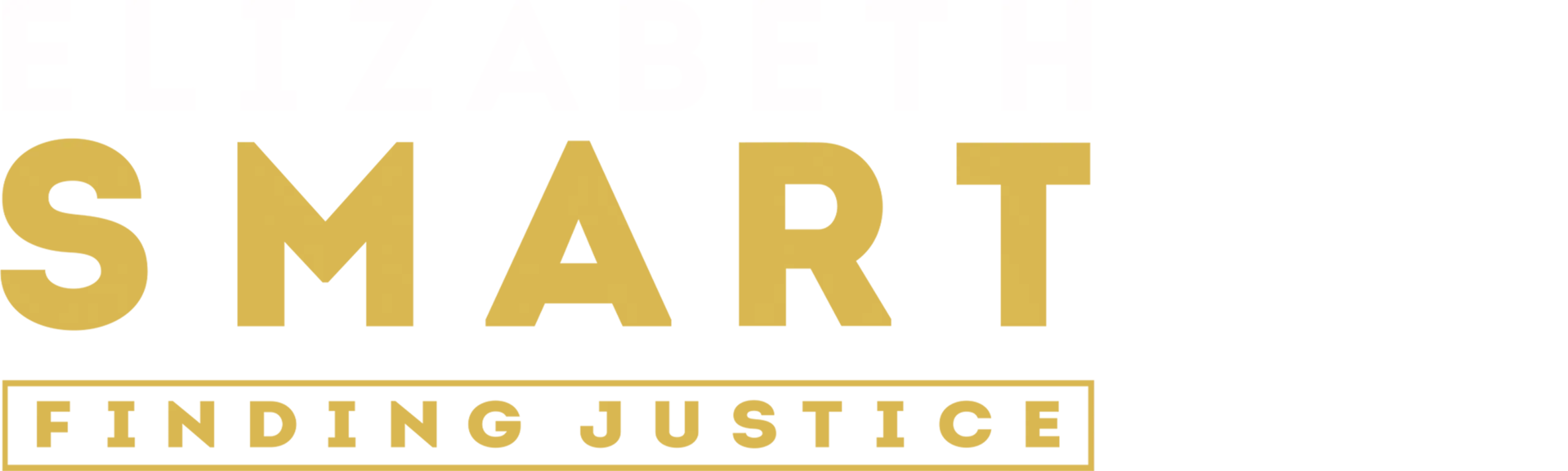 Elizabeth Smart: Finding Justice