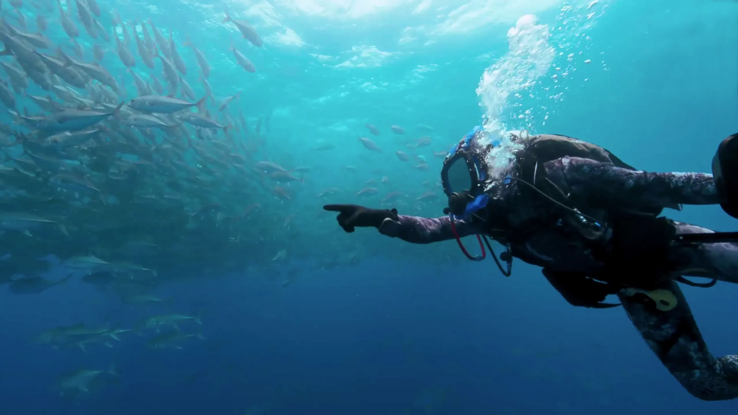 thumbnail - S1:E3 Shark Island