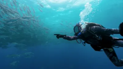 thumbnail - S1:E3 Shark Island