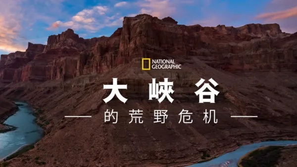 thumbnail - 大峡谷的荒野危机