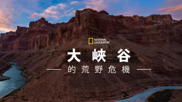 thumbnail - 大峽谷的荒野危機