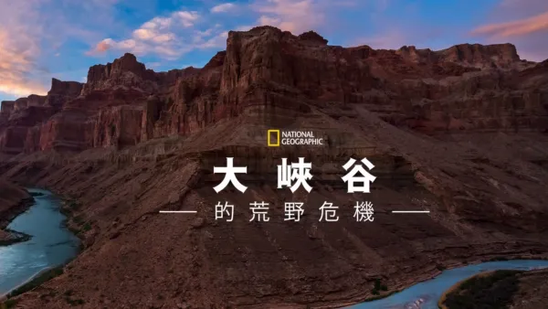 thumbnail - 大峽谷的荒野危機