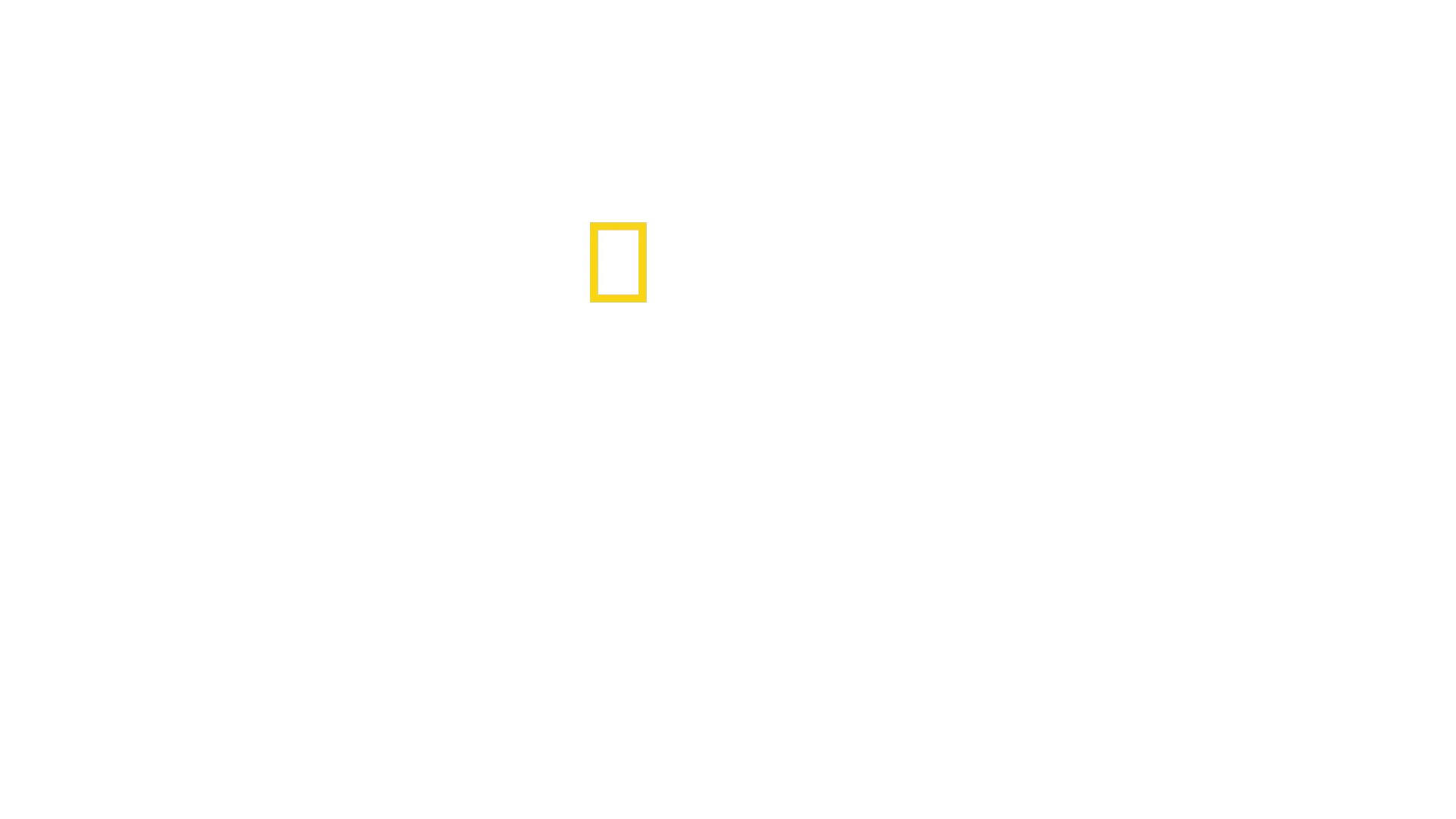Dentro del Gran Cañón