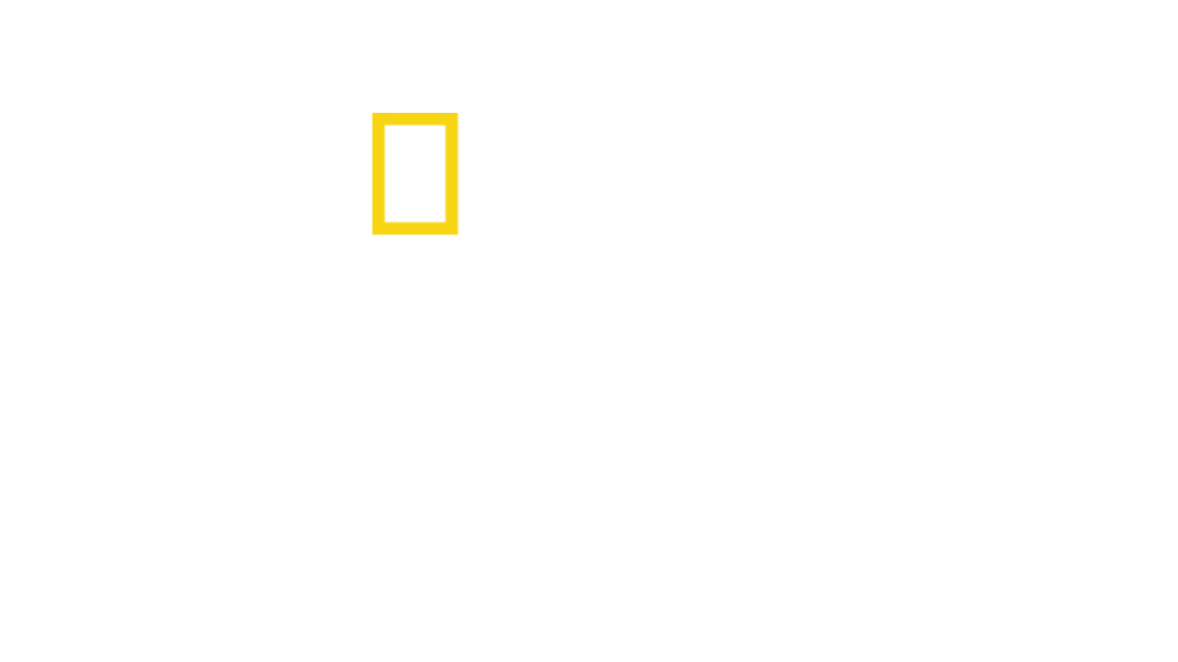 Vadinin İçinde