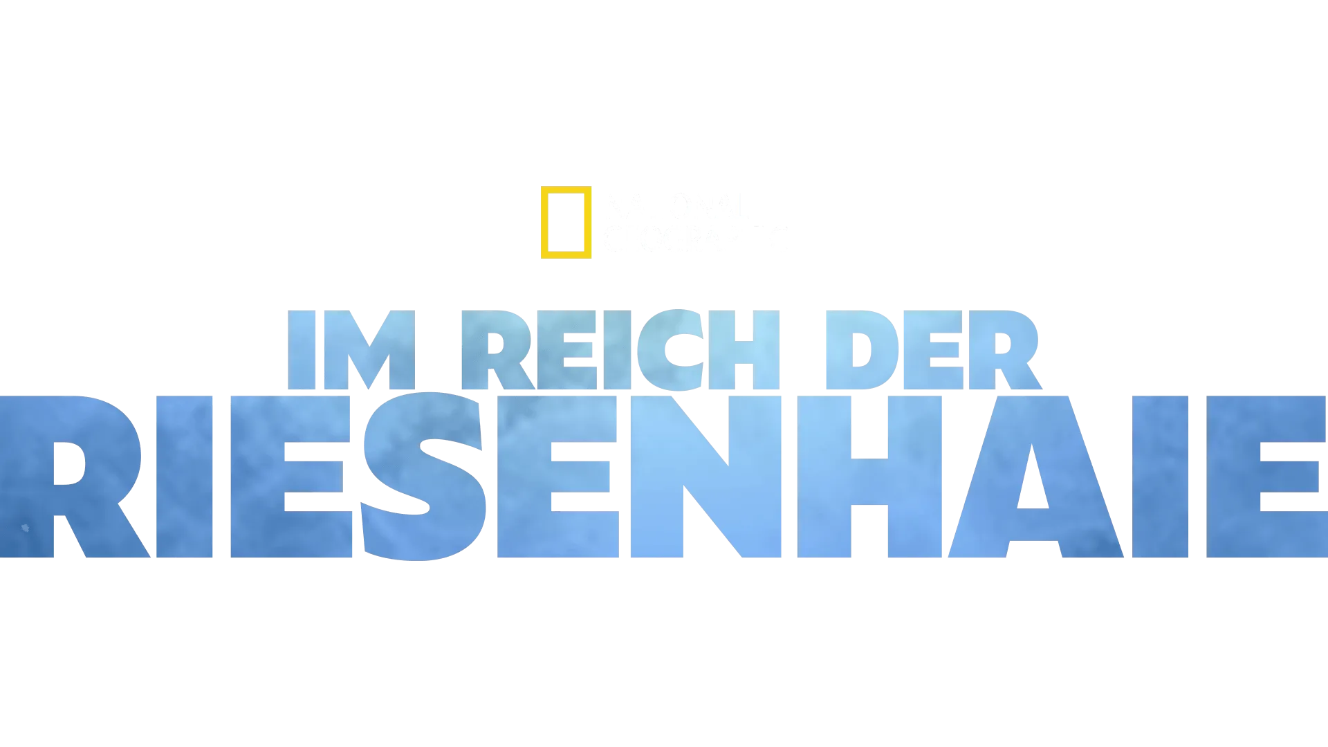 Im Reich der Riesenhaie
