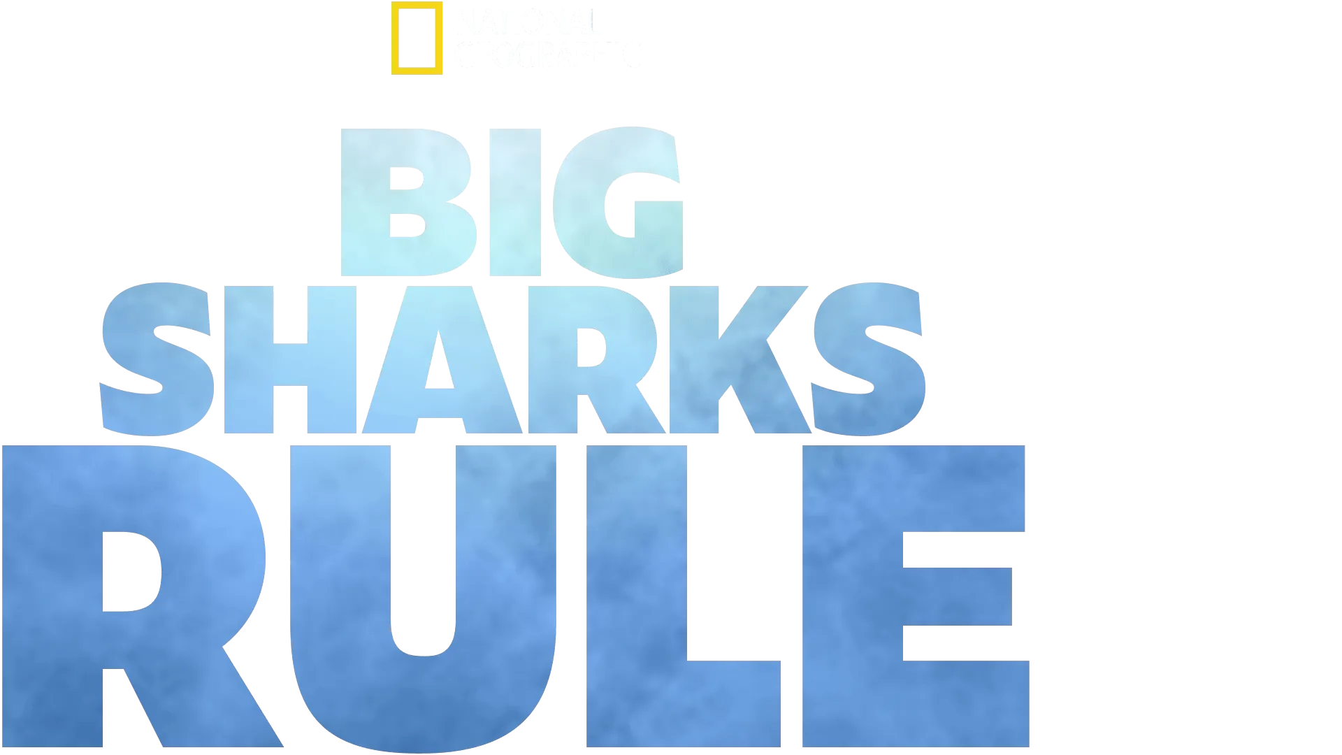 Big Sharks Rule
