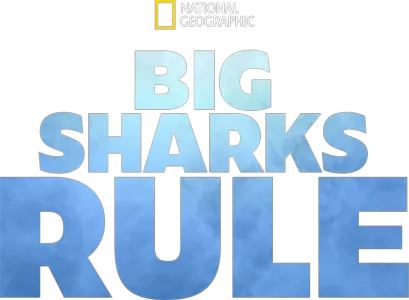 Big Sharks Rule