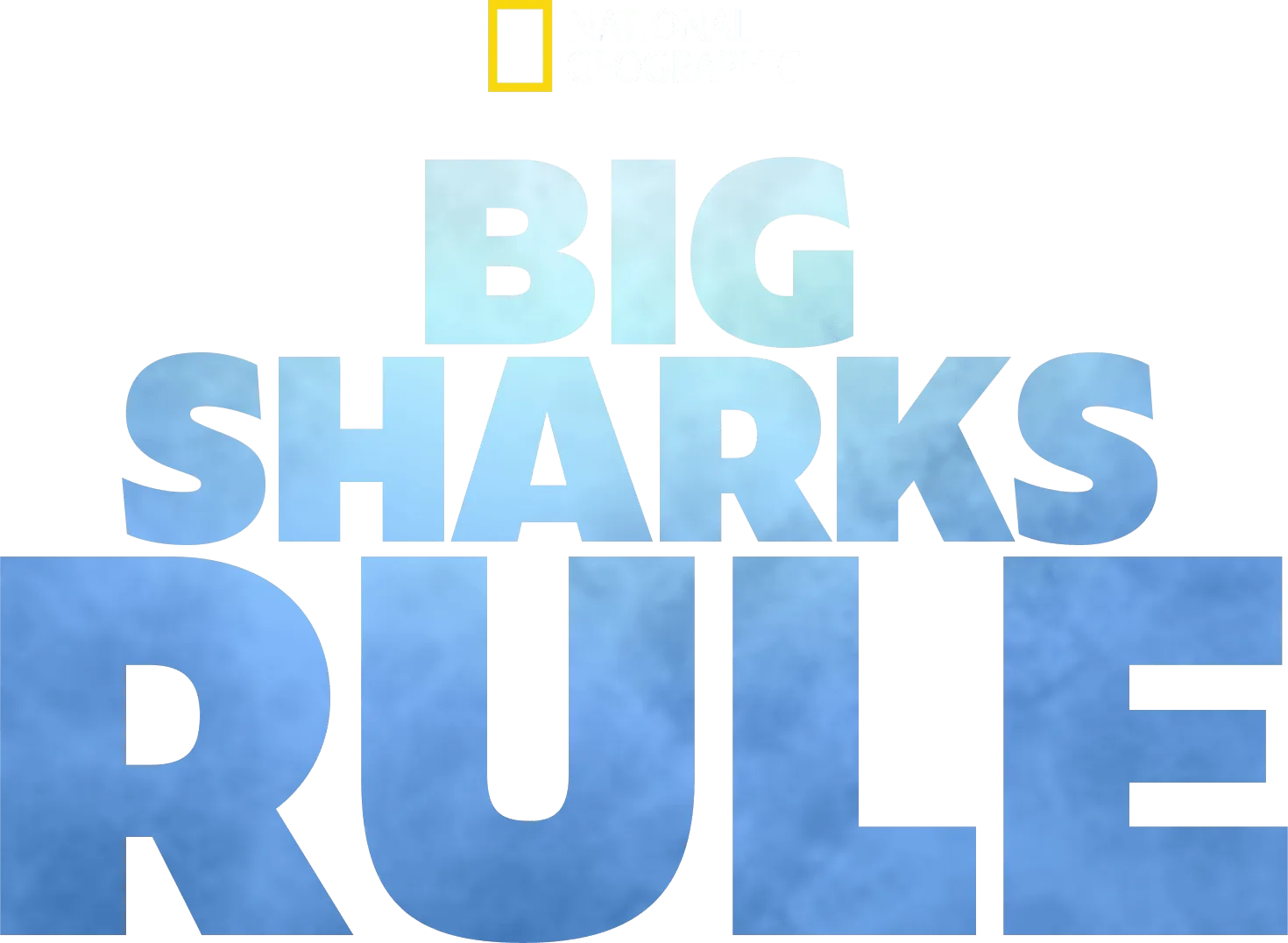 Big Sharks Rule