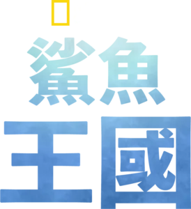 鯊魚王國