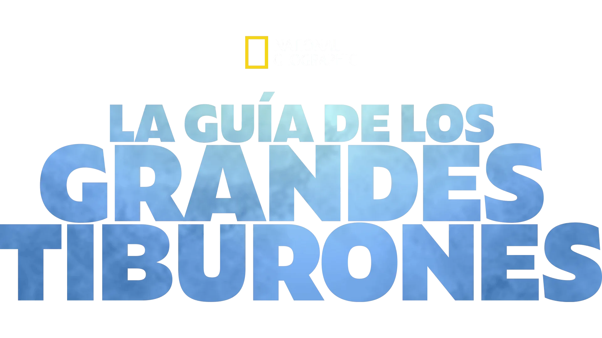 La guía de los grandes tiburones
