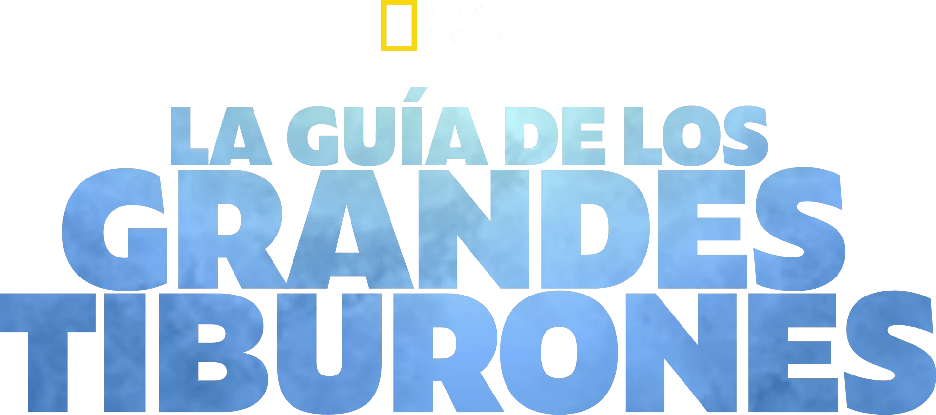 La guía de los grandes tiburones