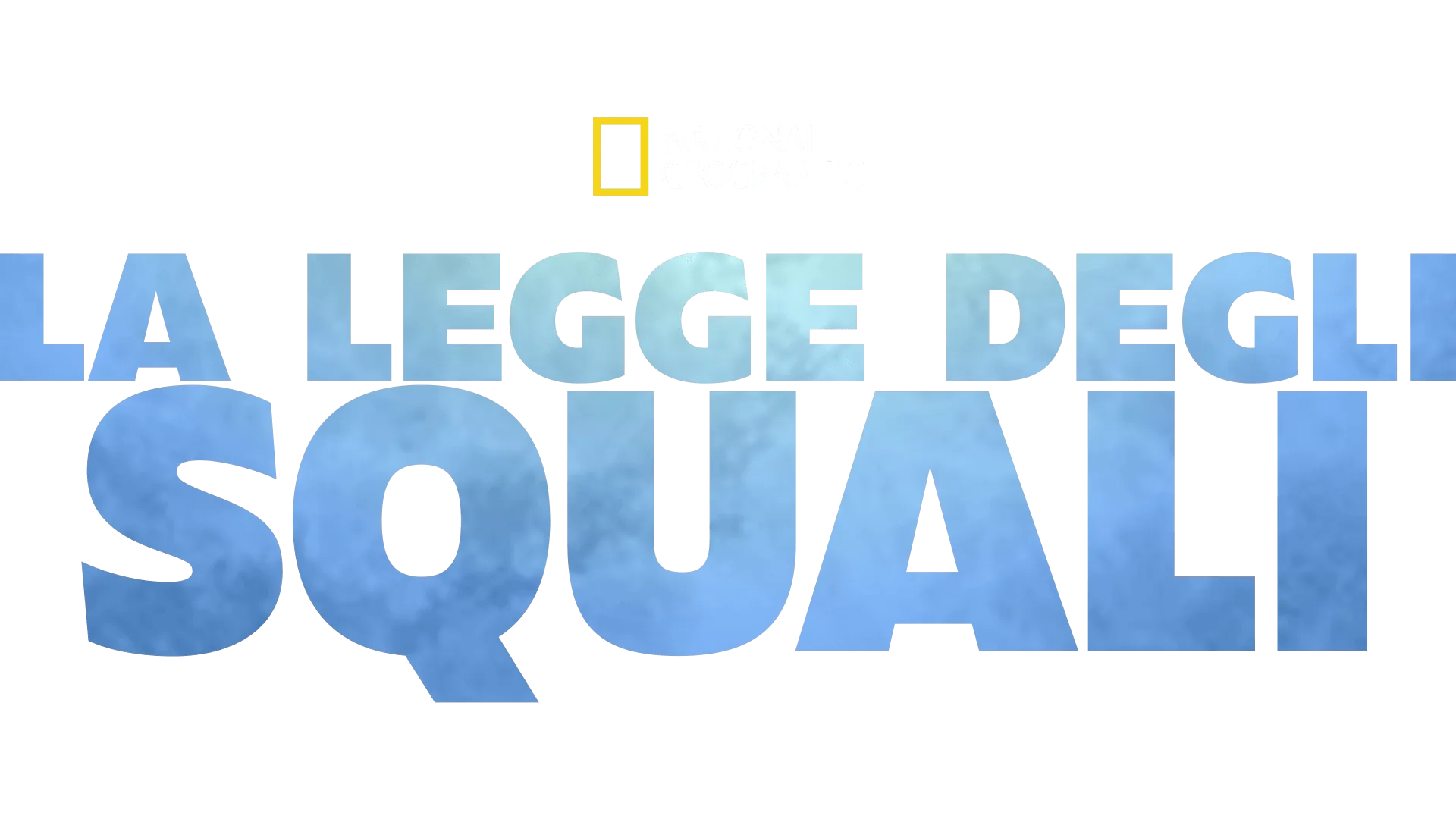 La legge degli squali