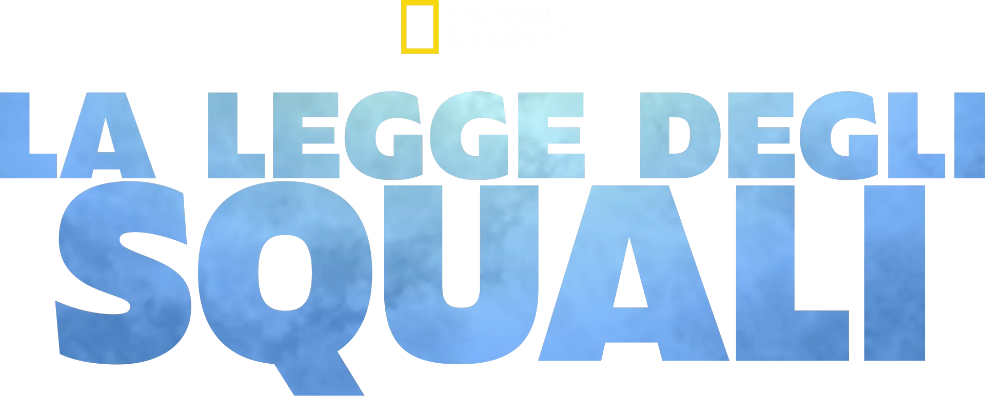 La legge degli squali