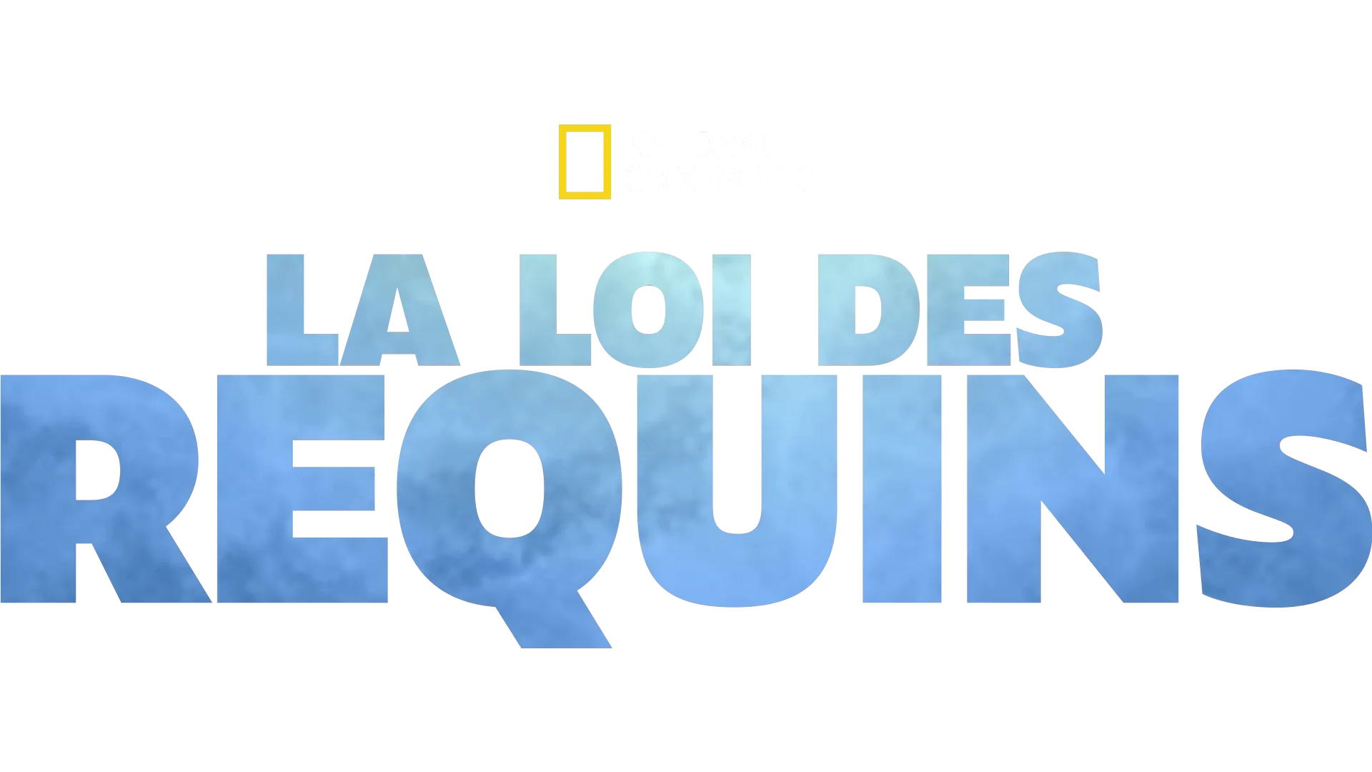 La loi des requins