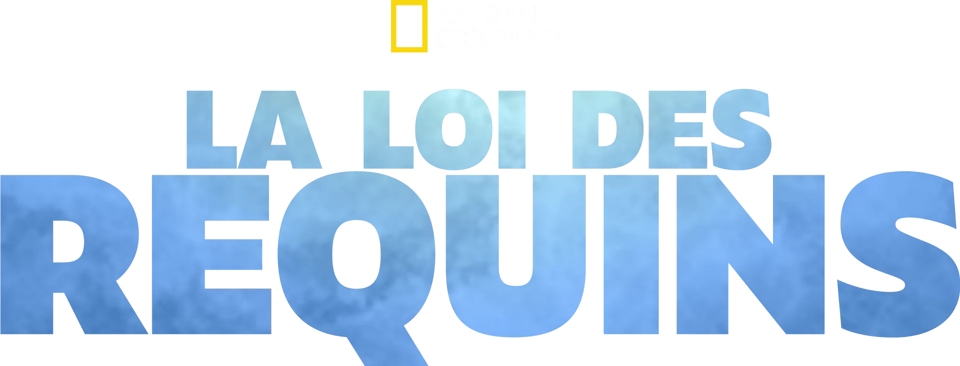 La loi des requins