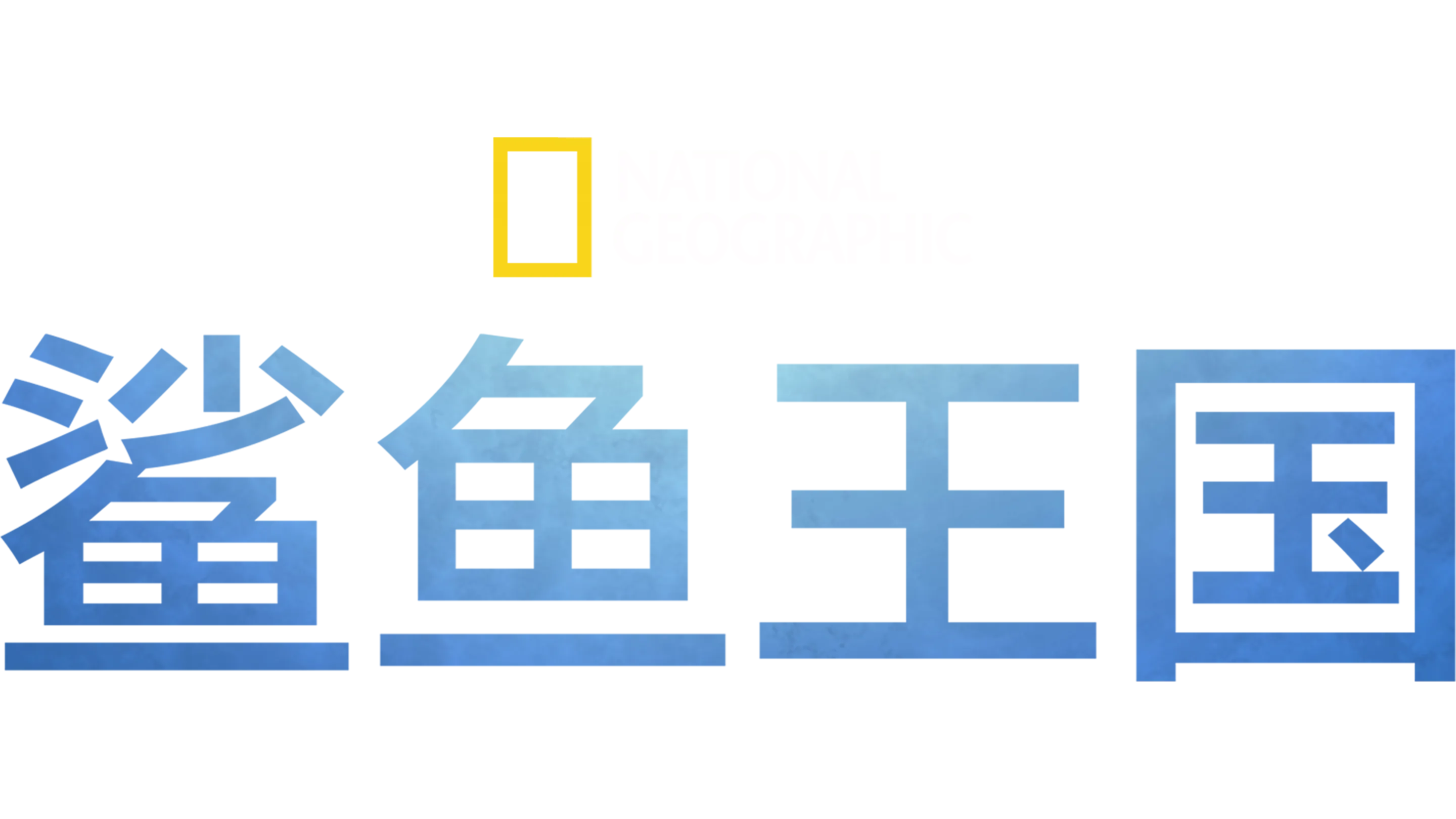 鲨鱼王国