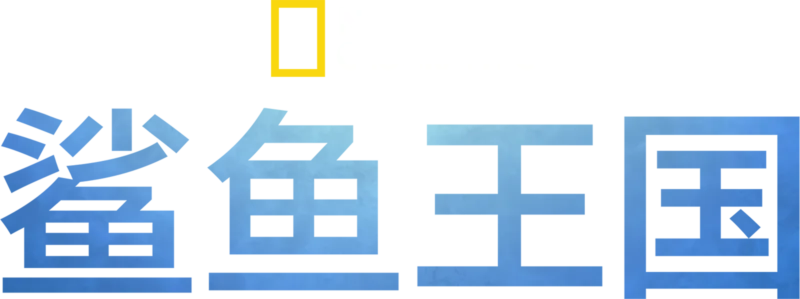 鲨鱼王国