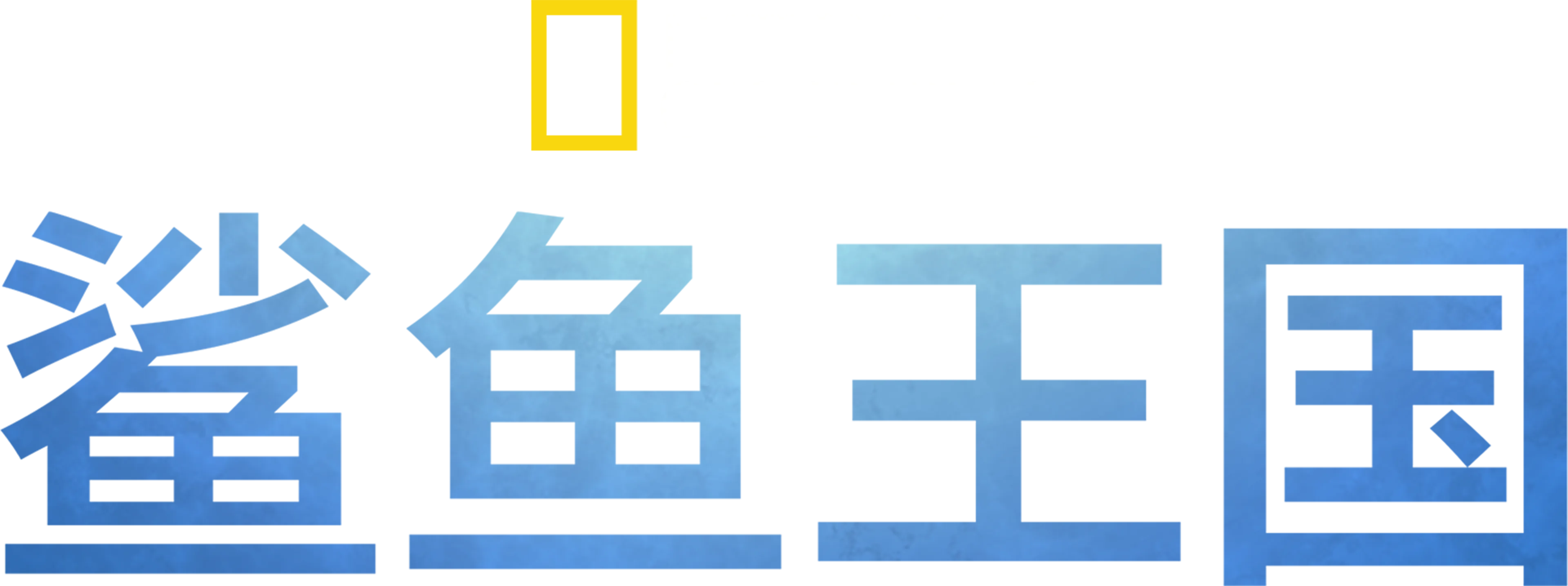 鲨鱼王国
