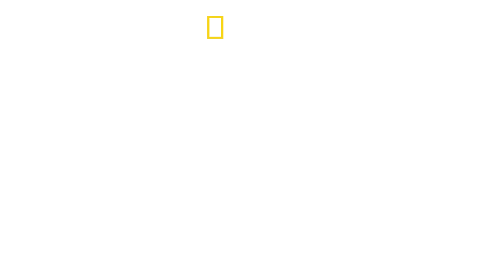 Καρχαρίες από Κοντά με τον Μπέρτι Γκρέγκορυ.