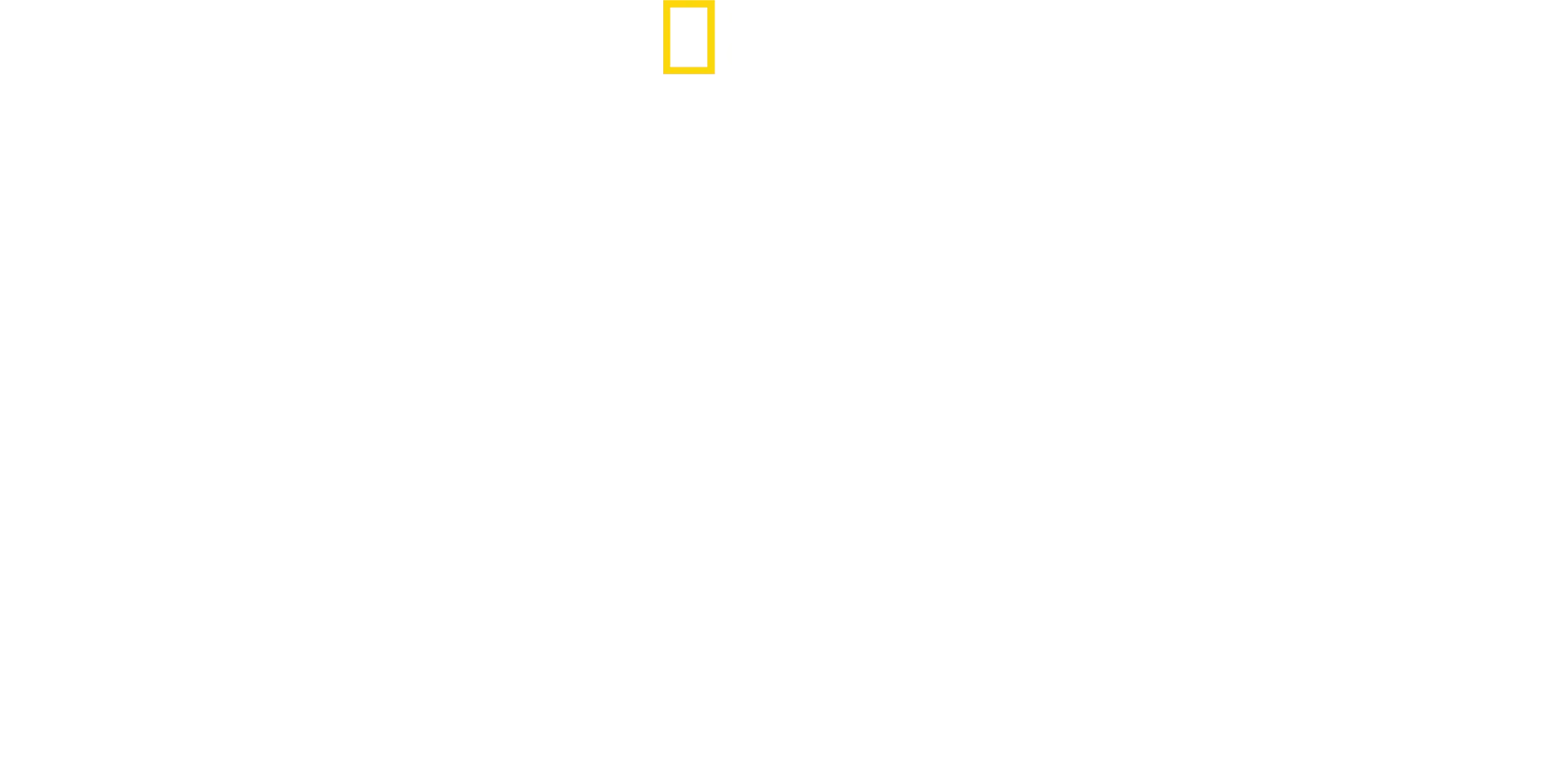 Καρχαρίες από Κοντά με τον Μπέρτι Γκρέγκορυ.