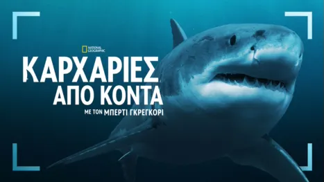 thumbnail - Καρχαρίες από Κοντά με τον Μπέρτι Γκρέγκορυ.